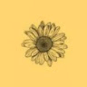 Meet your Posher, Parker